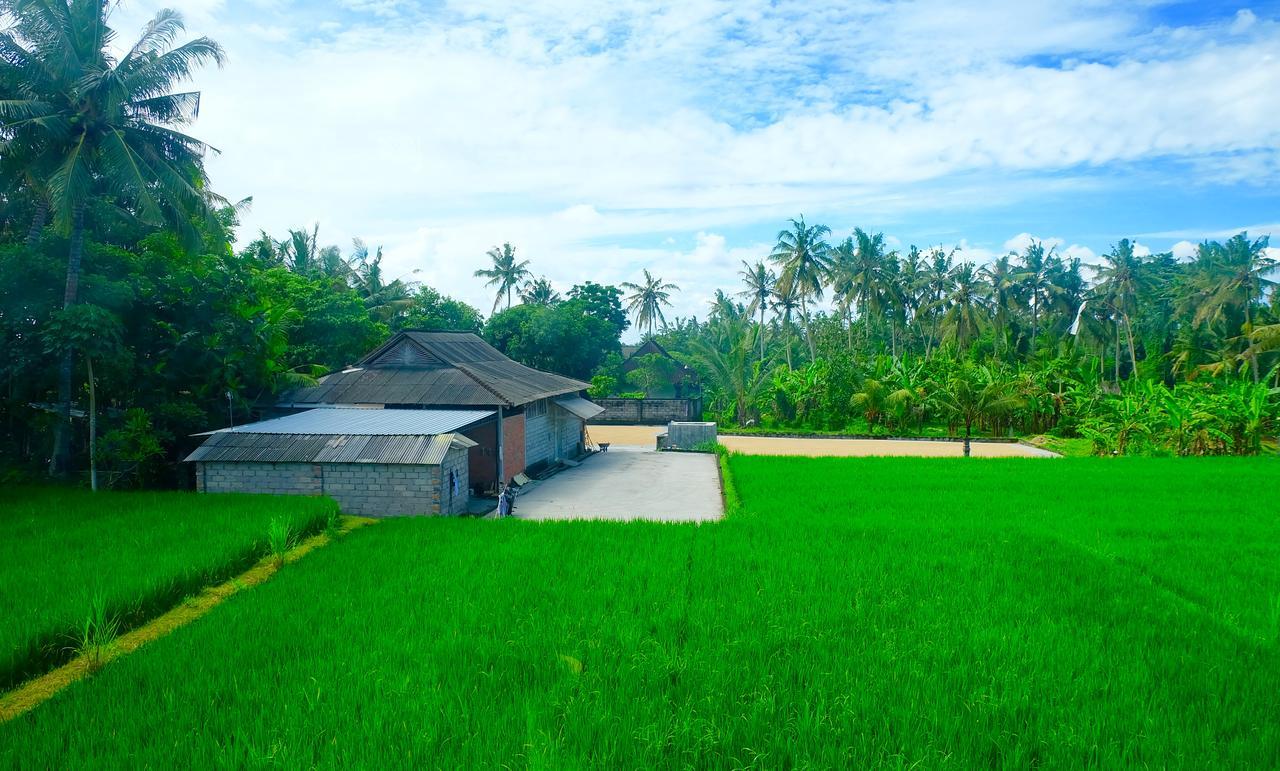 Отель Wiki Bali Убуд Экстерьер фото